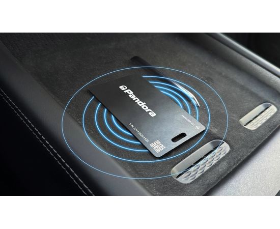 Купить Pandora Слим (Key) - Универсальный цифровой ключ, изображение 4 в интернет магазине Пандора трейд Сибирь